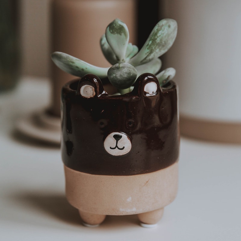 Ceramic bear pot